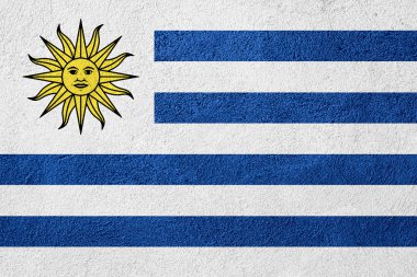 uruguay bayrağı
