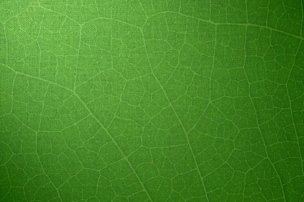 Fond abstrait vert — Photo