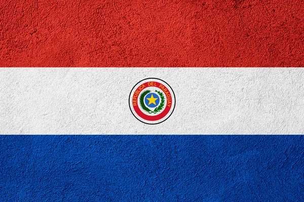 Bandeira do paraguai — Fotografia de Stock