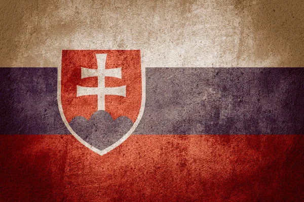 Flag of Slovakia — Stock Photo, Image