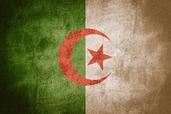 Flagge von Algerien — Stockfoto