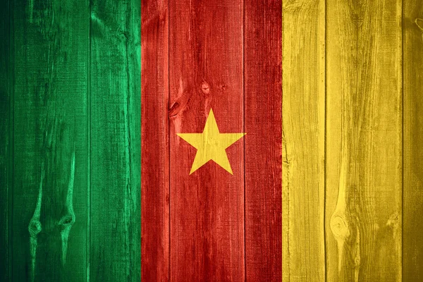 Bendera Kamerun — Stok Foto