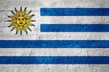 uruguay bayrağı