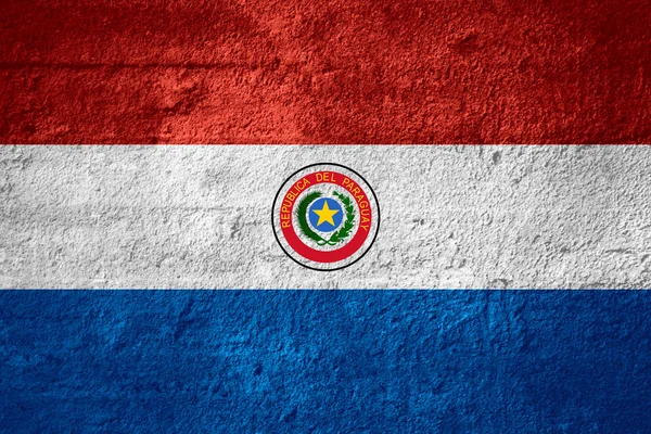Bandiera di paraguay — Foto Stock
