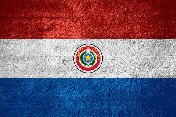 Flag of Paraguay — Stock Photo, Image