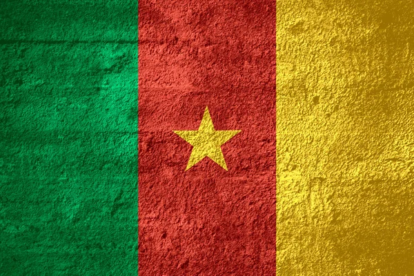 Bandera de Camerún — Foto de Stock