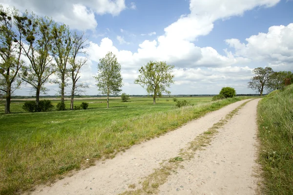 Country ground road — Stock Photo, Image