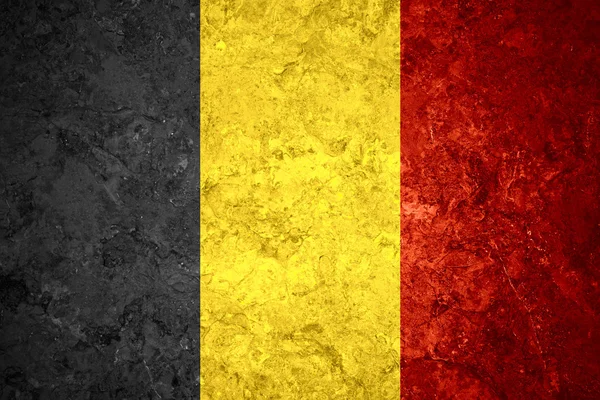 Under belgisk flagg — Stockfoto