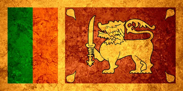 Vlag van sri lanka — Stockfoto