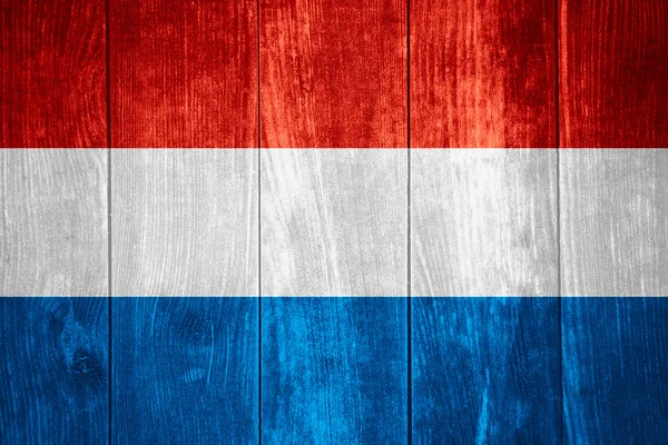 Vlag van holland — Stockfoto