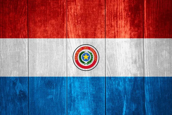 Bandeira do paraguai — Fotografia de Stock