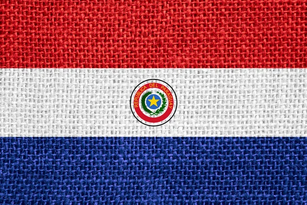 巴拉圭的旗子 — 图库照片