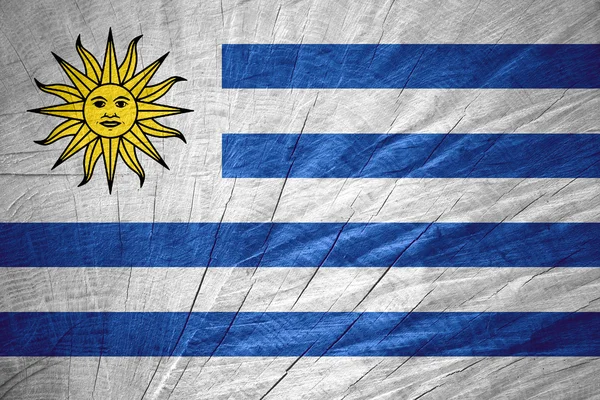 Bendera Uruguay — Stok Foto