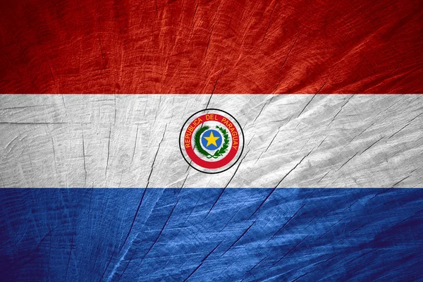 Bandiera di paraguay — Foto Stock