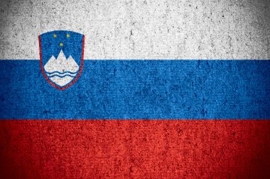 Slovenya Cumhuriyeti bayrağı