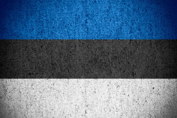 Bandera de Estonia — Foto de Stock