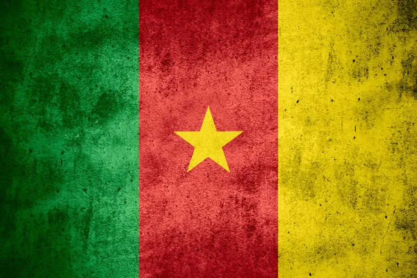 Kamerun zászlaja — Stock Fotó
