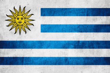 uruguay bayrağı