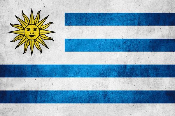 uruguay bayrağı