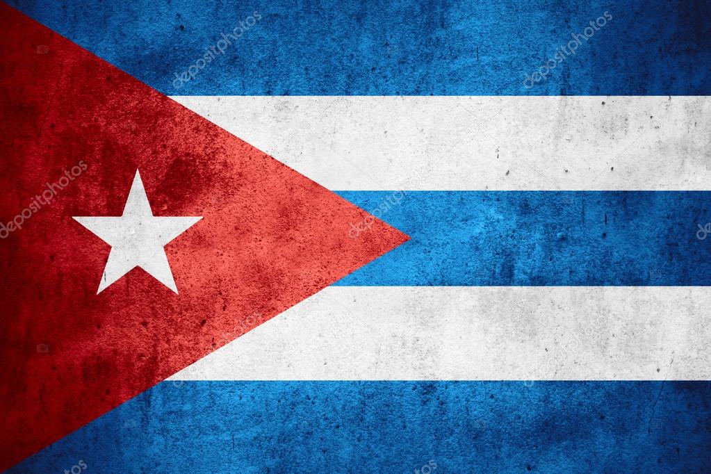 Puerto Rican Puss