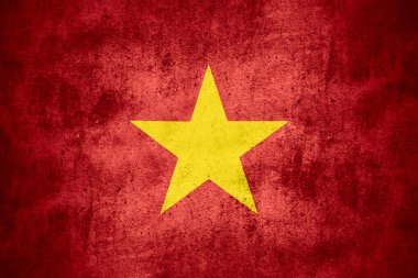 vietnam bayrağı