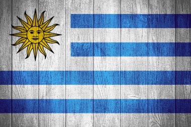 Uruguay bayrağı