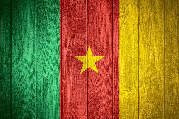 Kamerun-Flagge — Stockfoto