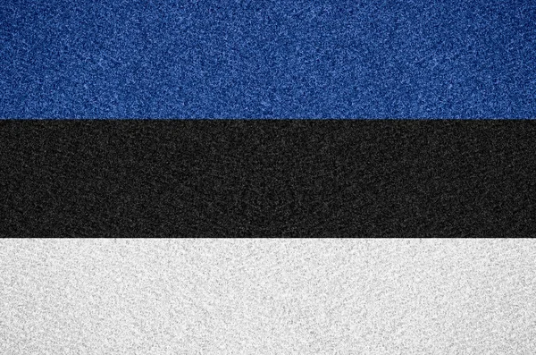 Flag of Estonia — Stock Photo, Image