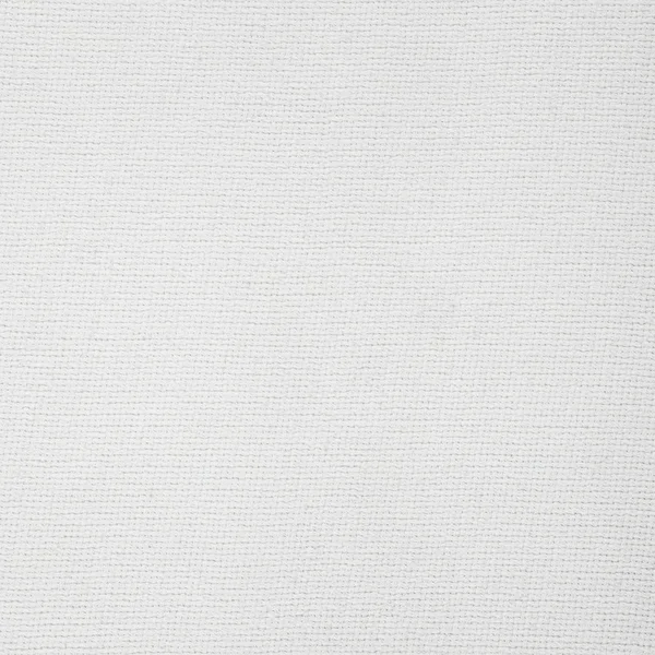 white canvas texture