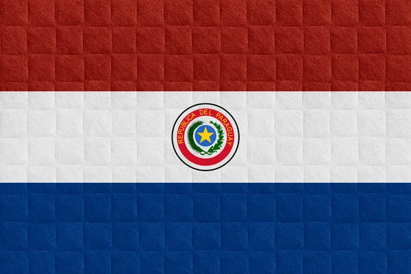 Bandeira do Paraguai — Fotografia de Stock