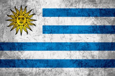 uruguay bayrağı