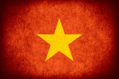 vietnam bayrağı