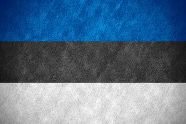 Флаг Эстонии — стоковое фото