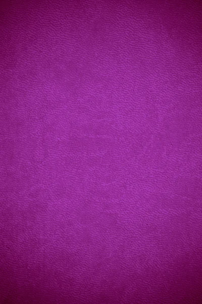 Textura de couro violeta — Fotografia de Stock