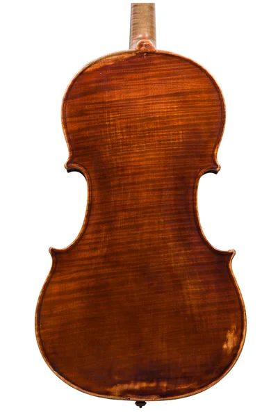 Gamla viola — Stockfoto