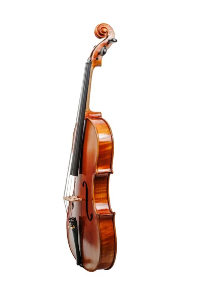 Viola-Musikinstrument — Stockfoto