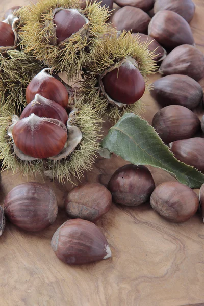 Châtaignes avec leur croûte épineuse vers l'extérieur — Photo