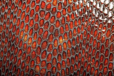 Yılan derisi arka plan olarak