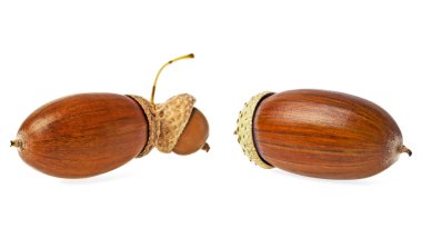 Beyaz arka plan üzerinde izole iki meşe palamutları