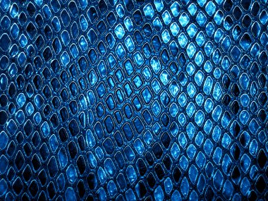 Mavi yılan deri arka plan