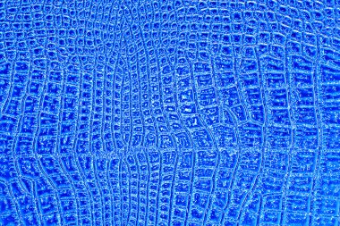 Mavi timsah desenli arka plan