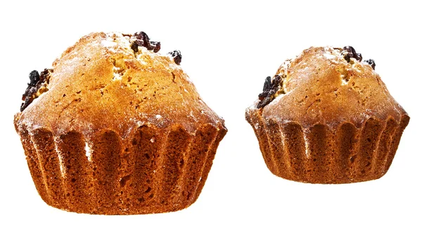 Deux muffins aux raisins secs sur fond blanc — Photo