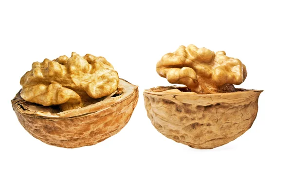 Сушеные орехи на белом фоне — стоковое фото