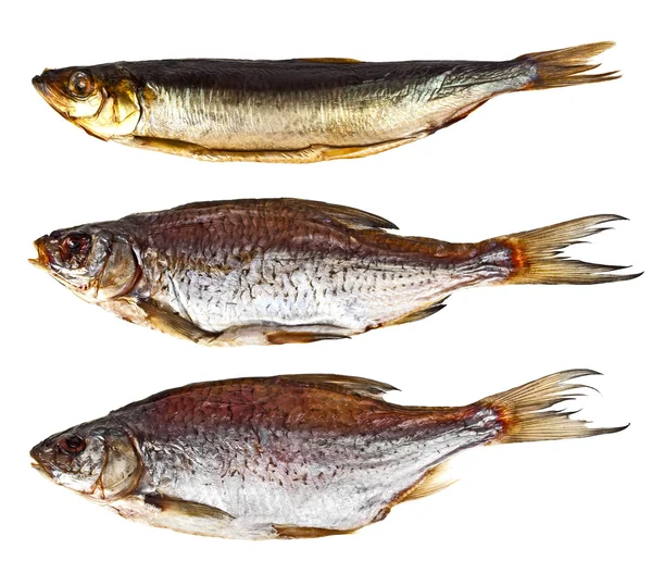 Conjunto de diferentes peixes secos e fumados em um fundo branco — Fotografia de Stock