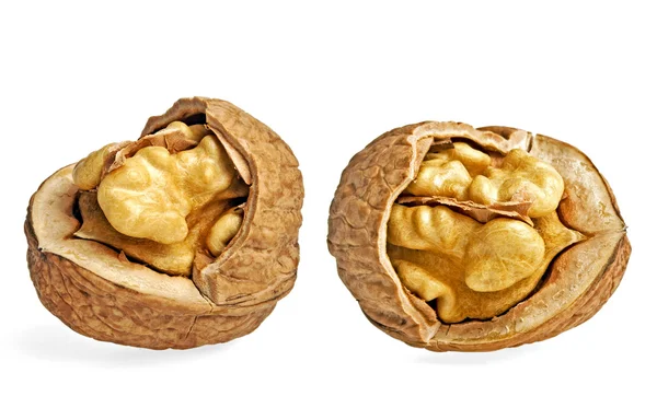 Nueces secas aisladas sobre fondo blanco — Foto de Stock