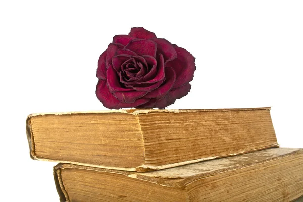 旧的书和白色背景上的红色凋谢的玫瑰 — 图库照片
