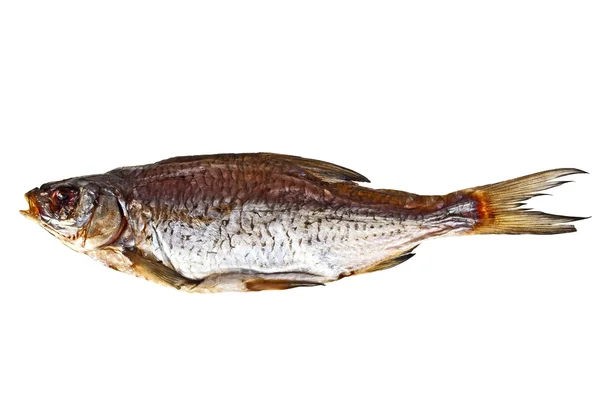 Peixe seco isolado sobre fundo branco — Fotografia de Stock