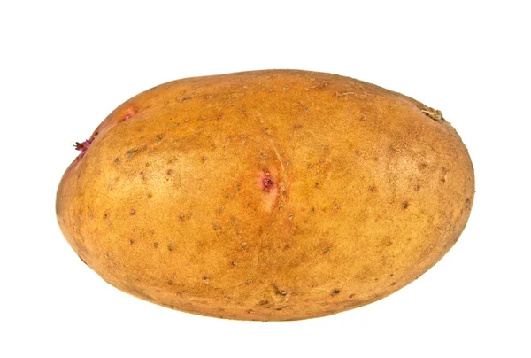 Potato on white background — Stock Photo, Image