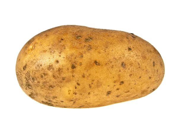 Potato on white background — Stock Photo, Image