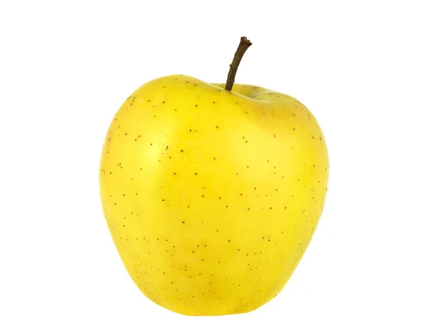 Yellow apple with stalk on white background — Stock Photo, Image